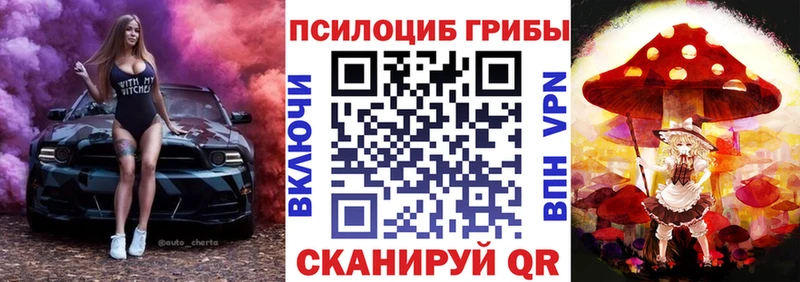Галлюциногенные грибы мицелий  Купить где  Моршанск 